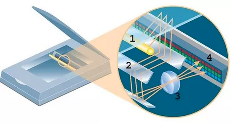Illustration for article titled What Would Happen If You Put A Mirror In A Scanner?